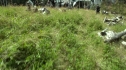 the100202_0002.jpg