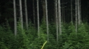 the100202_0760.jpg