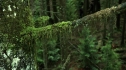 the100202_0768.jpg