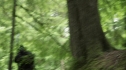 the100202_1123.jpg