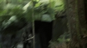 the100202_1126.jpg