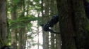 the100202_1149.jpg