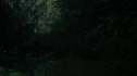 the100202_1894.jpg