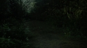 the100202_1896.jpg
