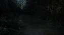 the100202_1901.jpg