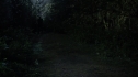 the100202_1902.jpg