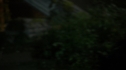 the100202_1936.jpg