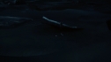 the100202_2050.jpg