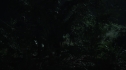 the100202_2064.jpg