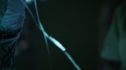 the100202_2222.jpg