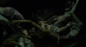 the100203_0193.jpg