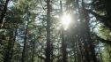 the100203_0450.jpg