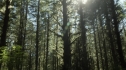 the100203_0451.jpg