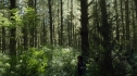 the100203_0452.jpg