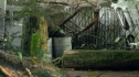 the100203_0493.jpg