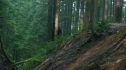 the100203_0506.jpg