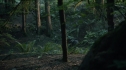 the100203_0536.jpg