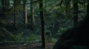 the100203_0539.jpg