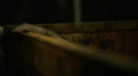 the100203_0729.jpg