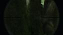 the100203_0865.jpg