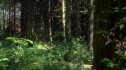the100203_0874.jpg