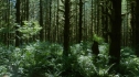 the100203_0883.jpg