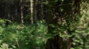 the100203_0886.jpg