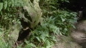 the100203_0902.jpg