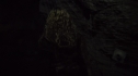 the100203_1224.jpg