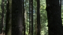the100203_1249.jpg