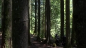 the100203_1250.jpg