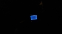 the100203_1347.jpg
