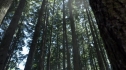 the100203_1763.jpg