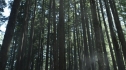 the100203_1764.jpg