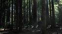 the100203_1766.jpg