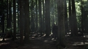 the100203_1767.jpg