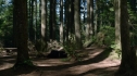 the100203_1773.jpg