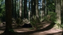 the100203_1774.jpg