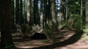 the100203_1775.jpg