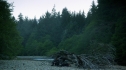 the100203_2247.jpg