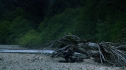 the100203_2269.jpg