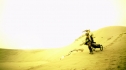 the100204_0047.jpg
