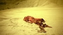 the100204_0066.jpg