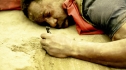 the100204_0123.jpg