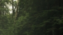 the100204_0131.jpg