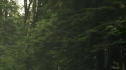 the100204_0132.jpg