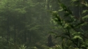 the100204_0135.jpg