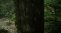 the100204_0143.jpg