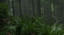 the100204_0168.jpg