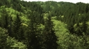 the100204_0170.jpg